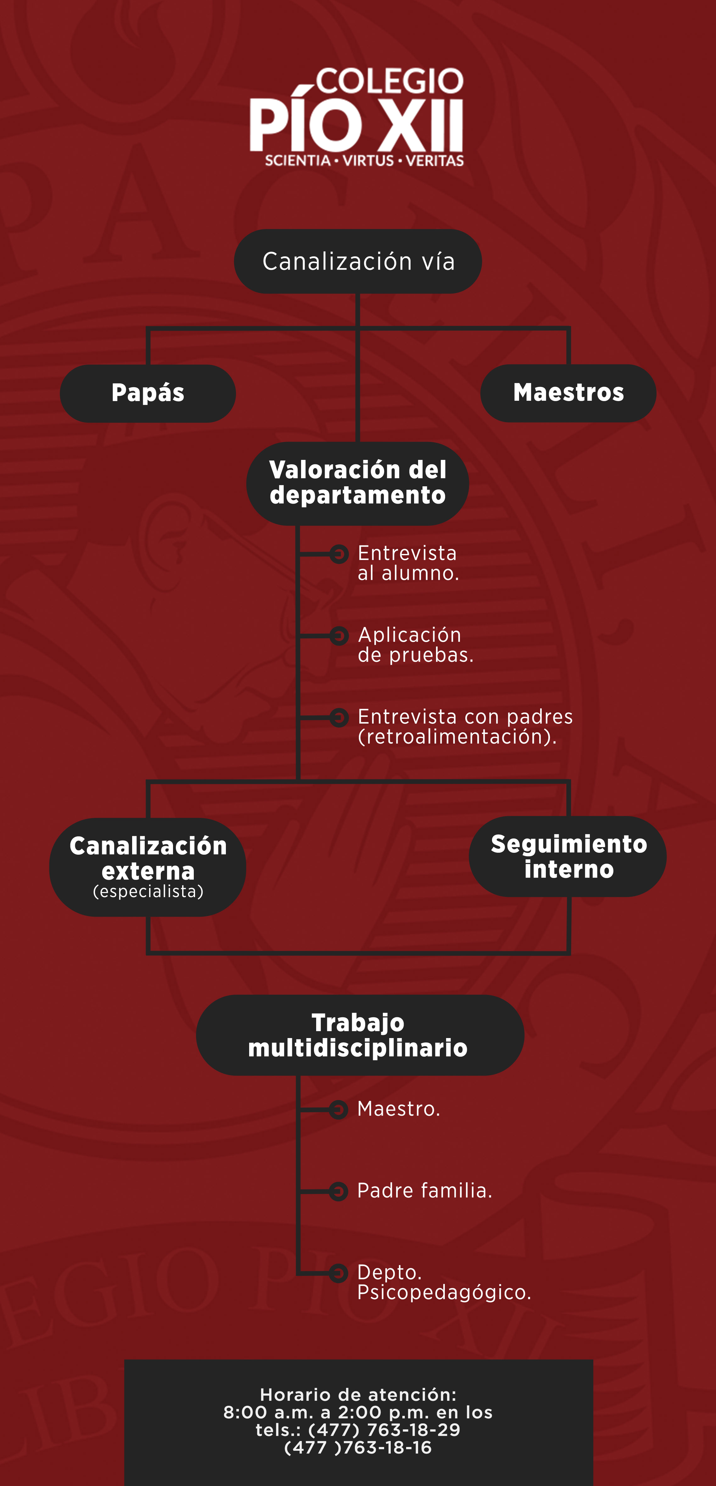 psicopedagogico